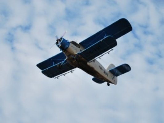 La Mangalia a fost făcută dezinsecţia, cu un avion special